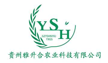 合作客户